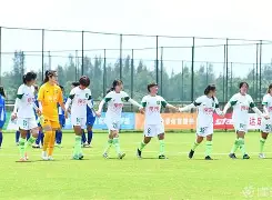 关于女足职业联赛即将展开新一轮比赛：女足联赛迎来新一轮较量的信息